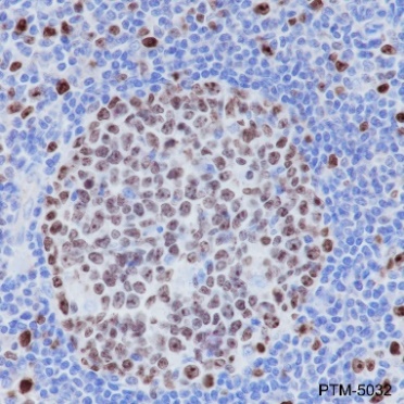 PTM BIO